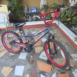 20" Schwinn Falcon Kids Bike 