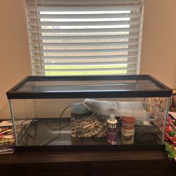 Turtle Tank 