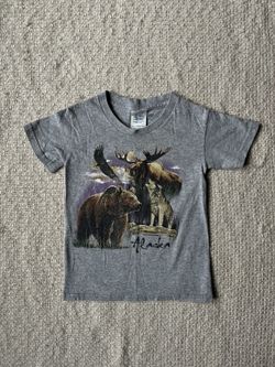 Delta Pro Weight Alaska Graphic T-Shirt – Kids Size Small