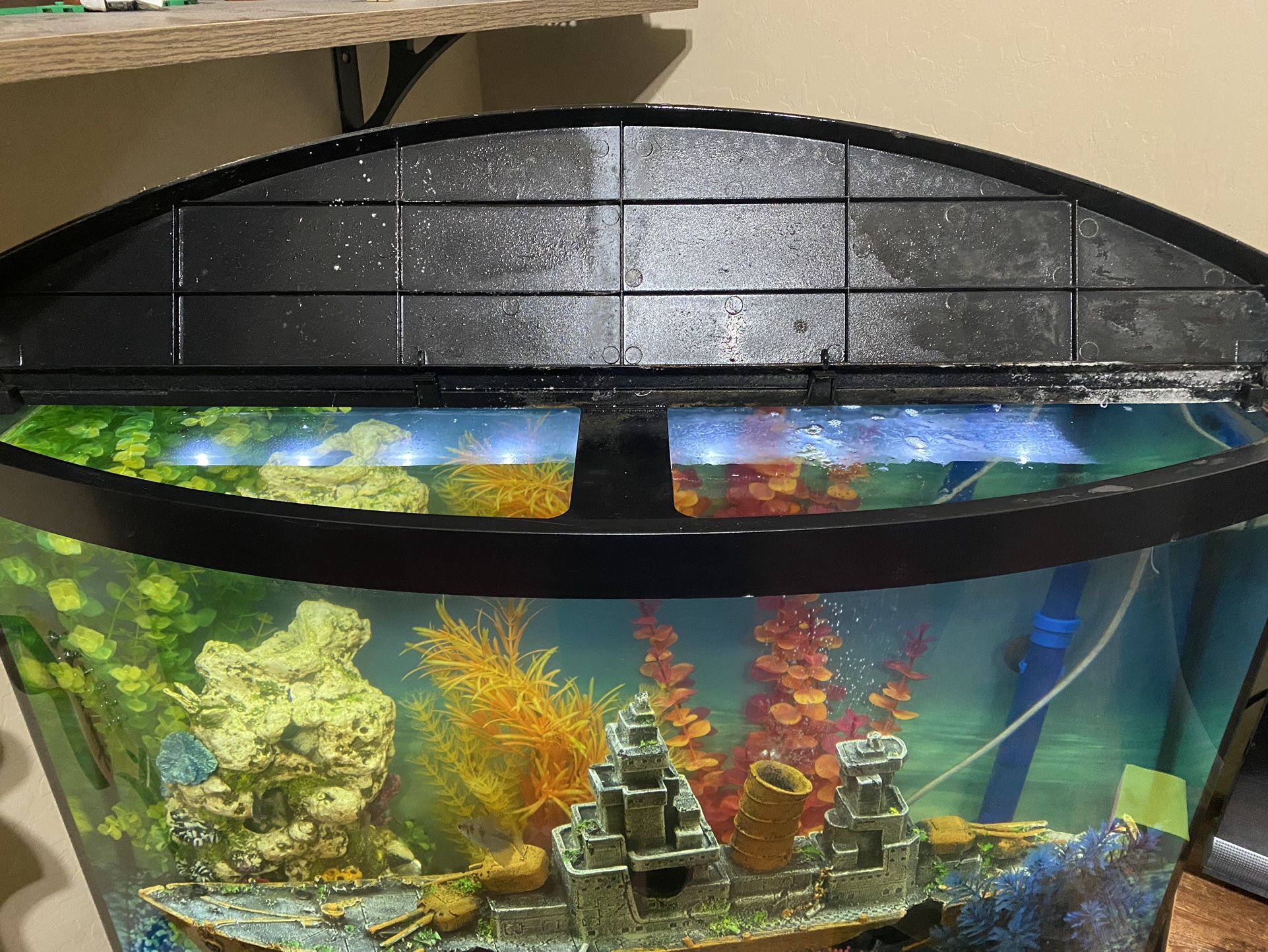 36 Gallon Fish Tank With Stand (comes everything in the pictures) (price negotiable)