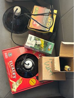 Reptile new and used stuff.