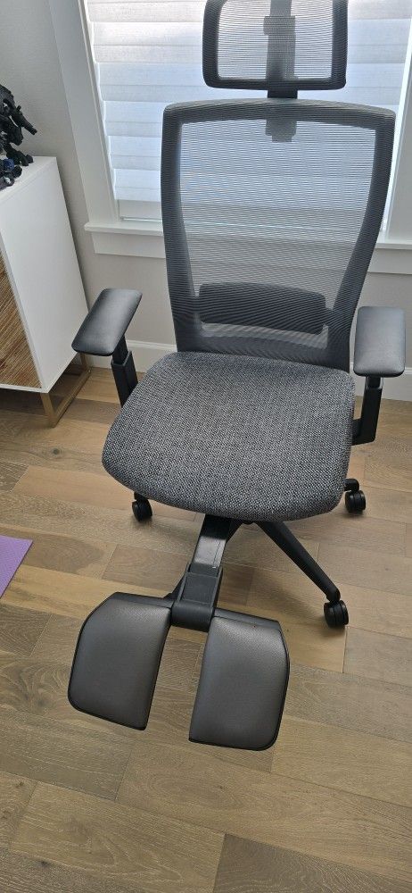 Autonomous Ergo Chair With Reclining And Leg Rest
