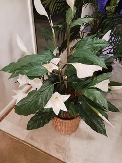Artificial Plant