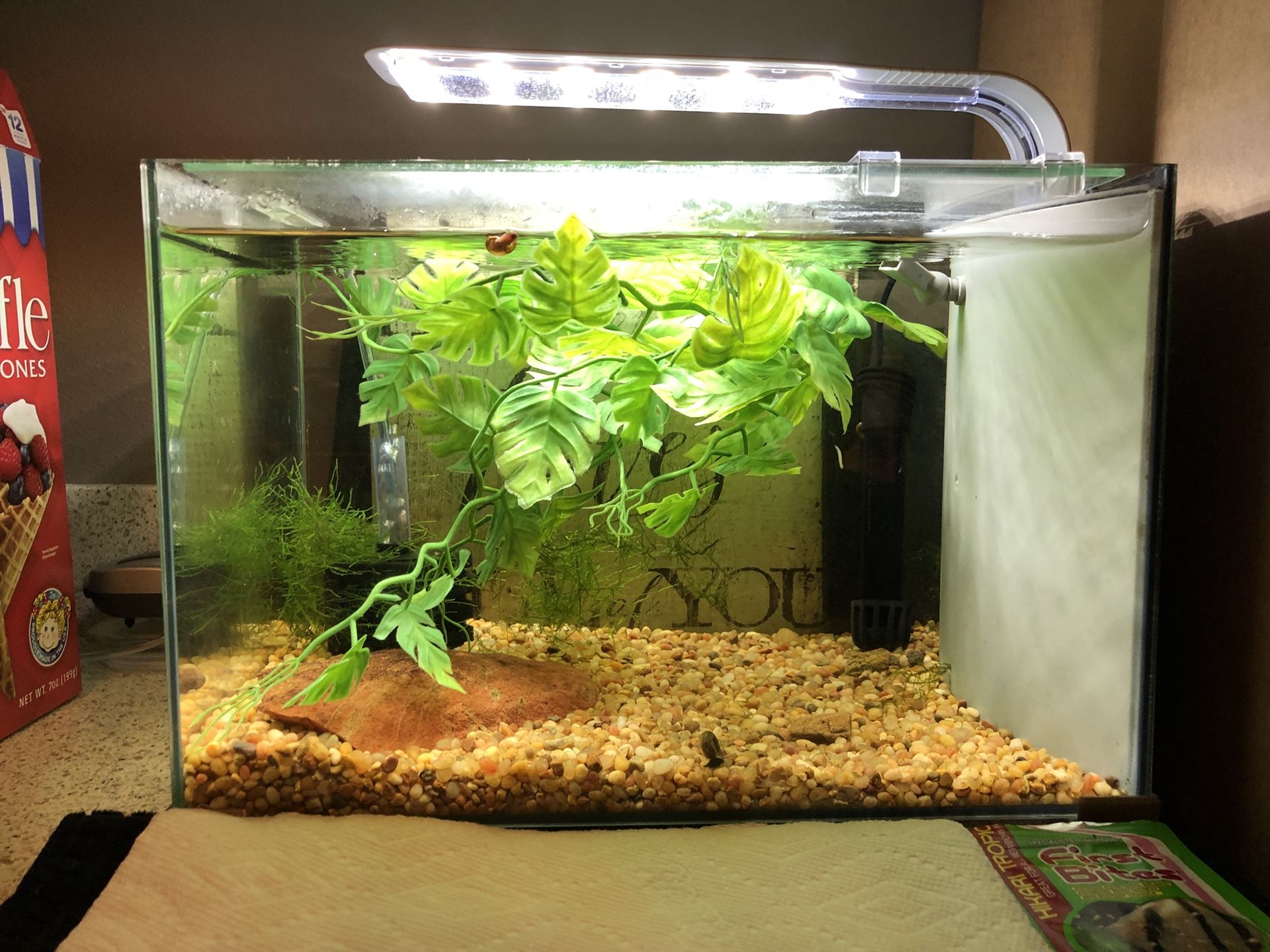 Top Fin Retreat Aquarium Fish tank 5 Gallon