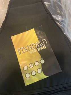 Standard gig bag for bass guitar