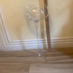 Giant Champagne Glass  27 1/2 Inches
