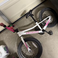 Specialized Riprock Coaster 16