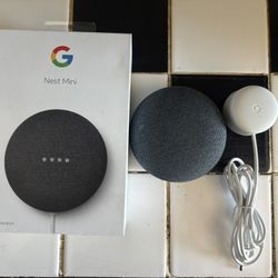 Google Nest Mini