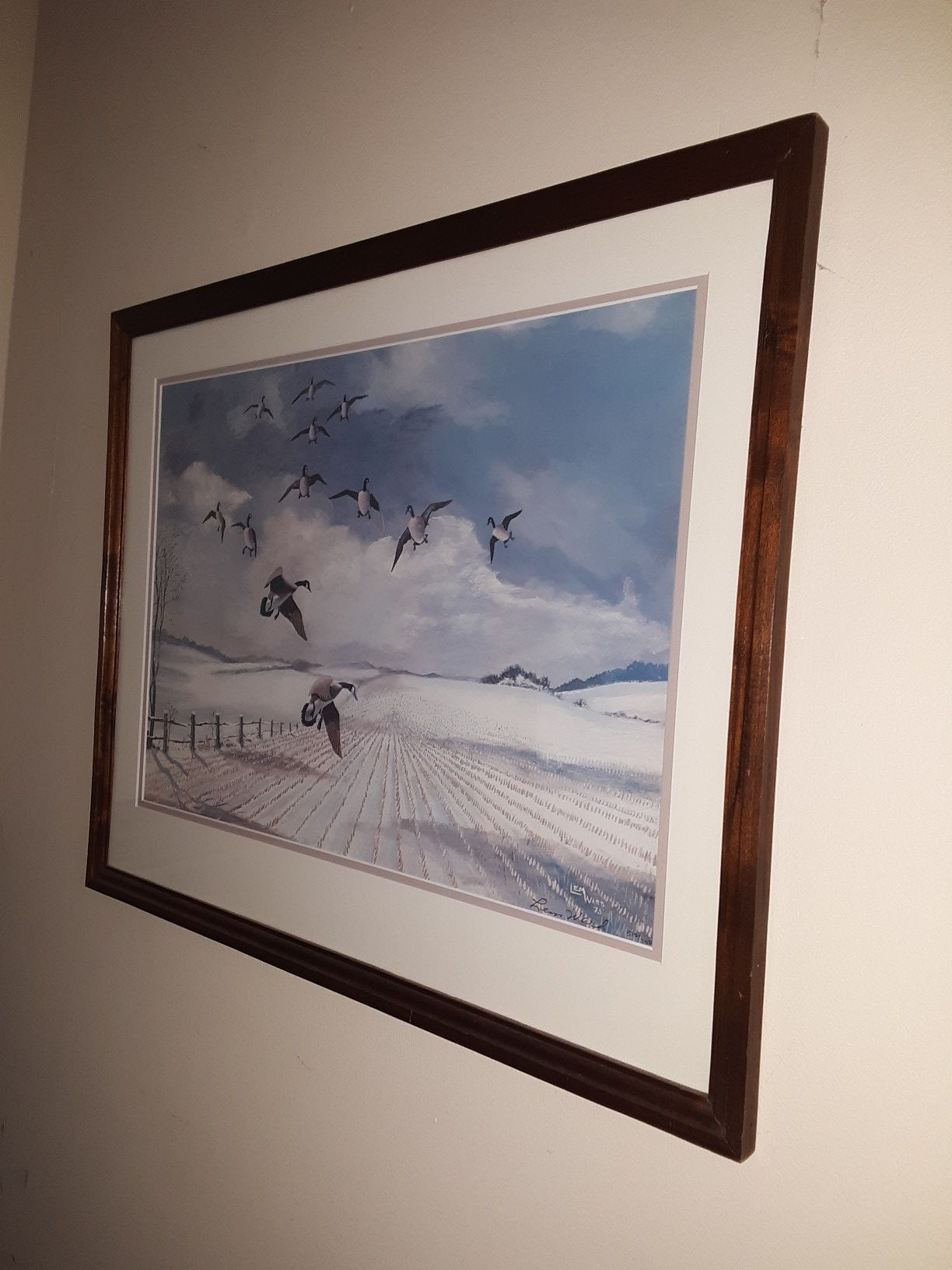 25x20 Framed Geese