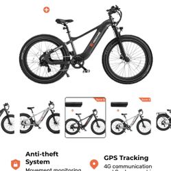 Electric Bike