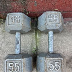 55 Lbs Dumbbell Weights 