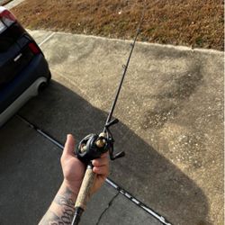 lews classic speed spool speed stick combo