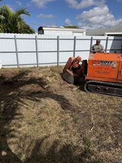 Stump grinder moledora troncos raíces árboles palmas trees palms stumps.