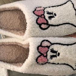 Disney Slippers 😍