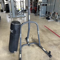 Everlast Punching Bag & Stand