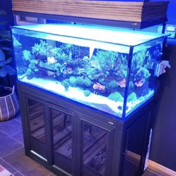 Innovative Marine 100 Gal Ext  Aquarium