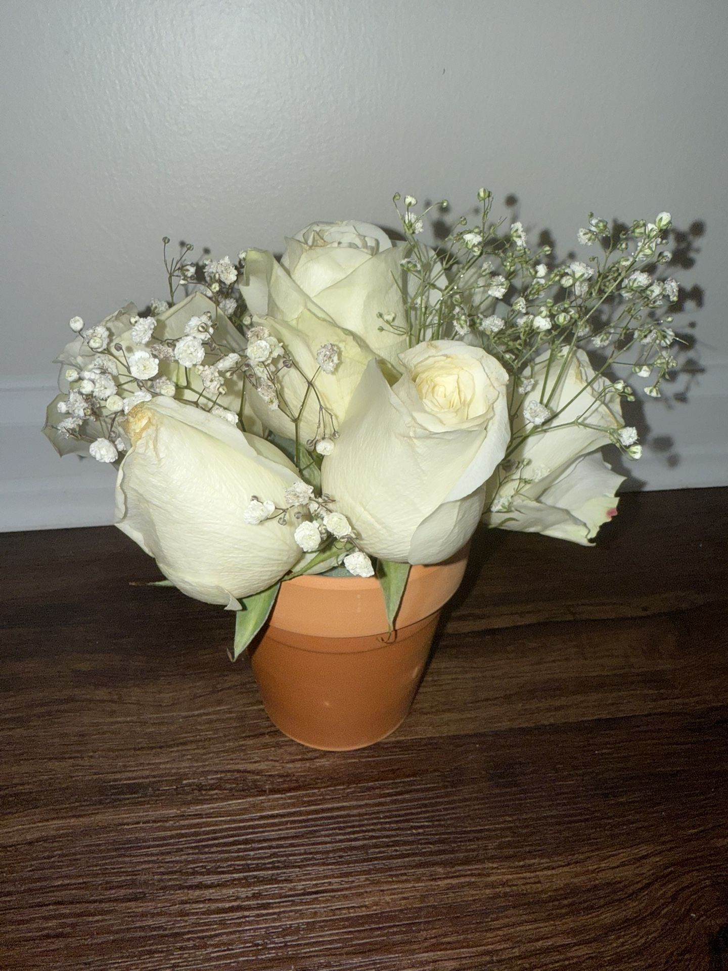 Fresh Roses