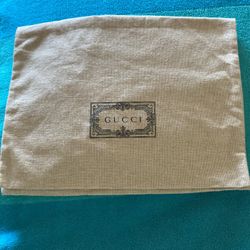 Gucci Pouch Bag