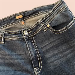 Like New Reba “Lupita” Skinny Jeans Women’s Size 14 28” Inseam