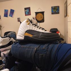 Royalty Taxi 12s 