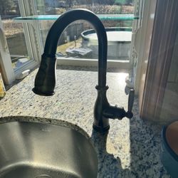 Moen Faucet 