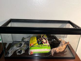 Snake Reptile Enclosure