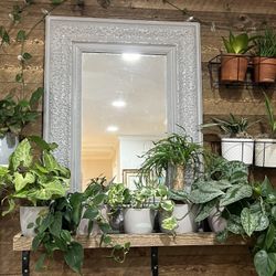 Kirklands Gray Large Oversized Mirror Floral Decorative Vintage Look Shabby Boho Cottage Farmhouse