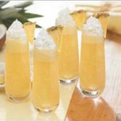 Vasos Princess House 