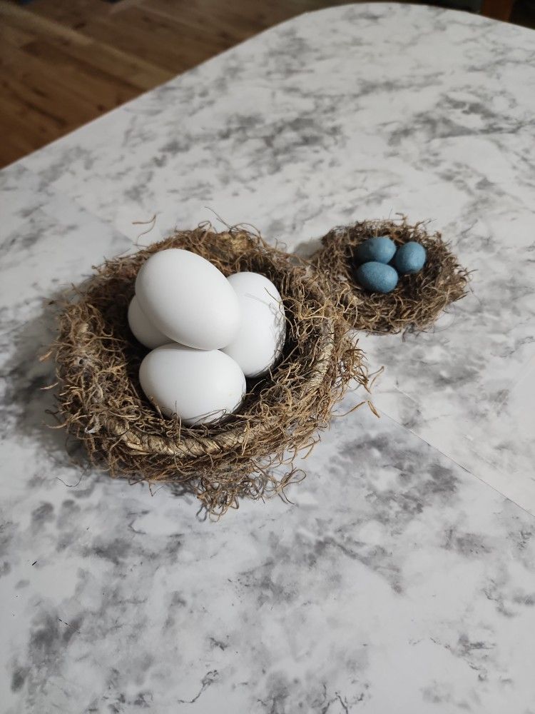 Bird Nest Decor