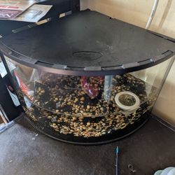 6 Gallon Aquarium