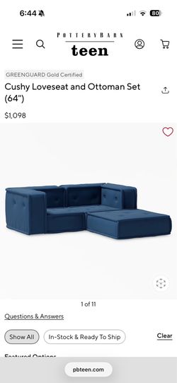 Pottery Barn Teen Couch