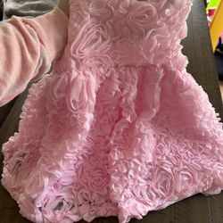18 Month Pink Dress 