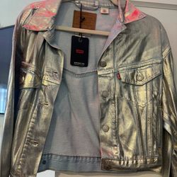 Sliver Levi Demon Jacket 