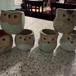 Owl succulent Pots