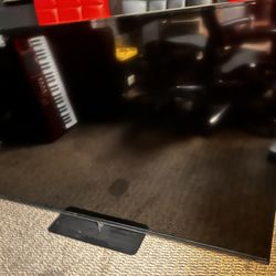 VIZIO 60 INCH TV (WORKING)