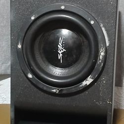 The Skar Audio EVL-10 D4 model 