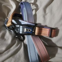 Dog Collar And Leash