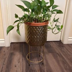 Plant Pot Holder with Stand 