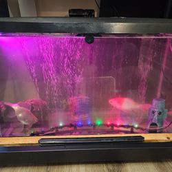 Fish Tank 20 Gallons 