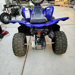 Yamaha Raptor 110 2024