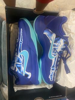 Kobe 5 X-Ray