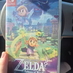 Zelda Echos Of Wisdom