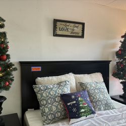 🎄 Home Accents Holiday 4.5 ft Pre-Lit Mixed Pine Porch Trees 