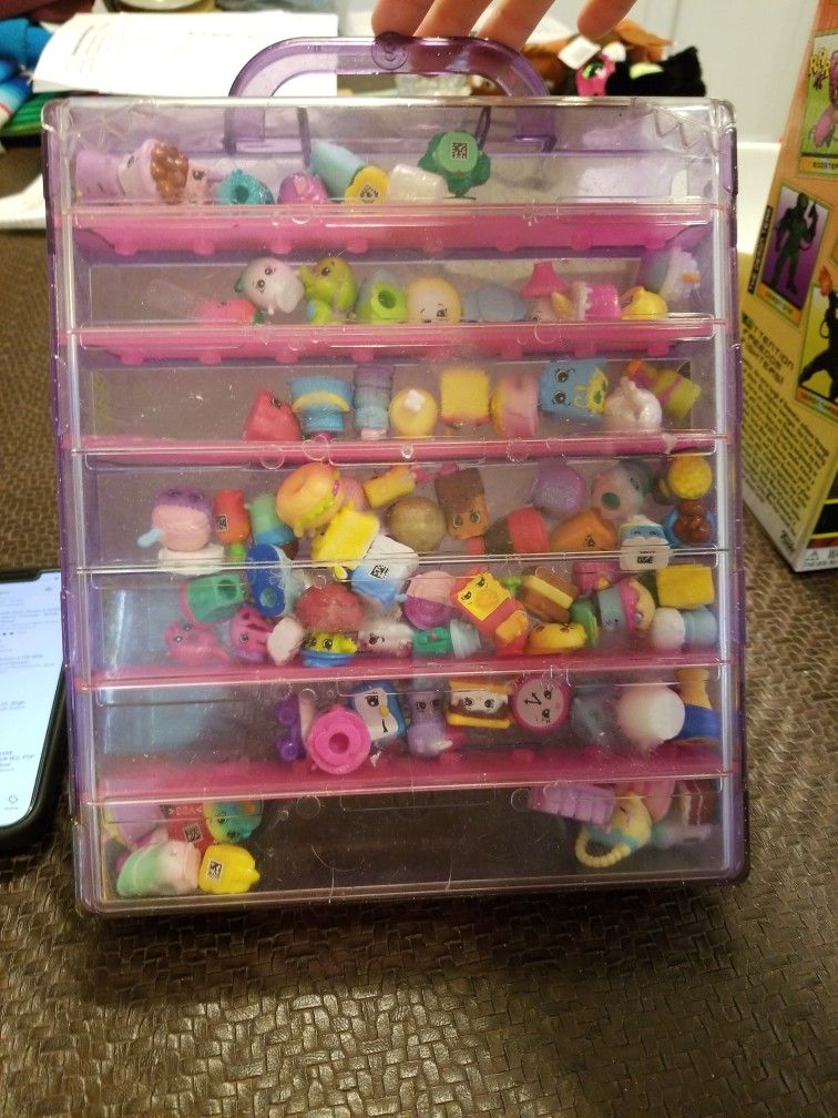 Shopkins With Caring Case