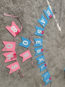 Gender Reveal Party Decor