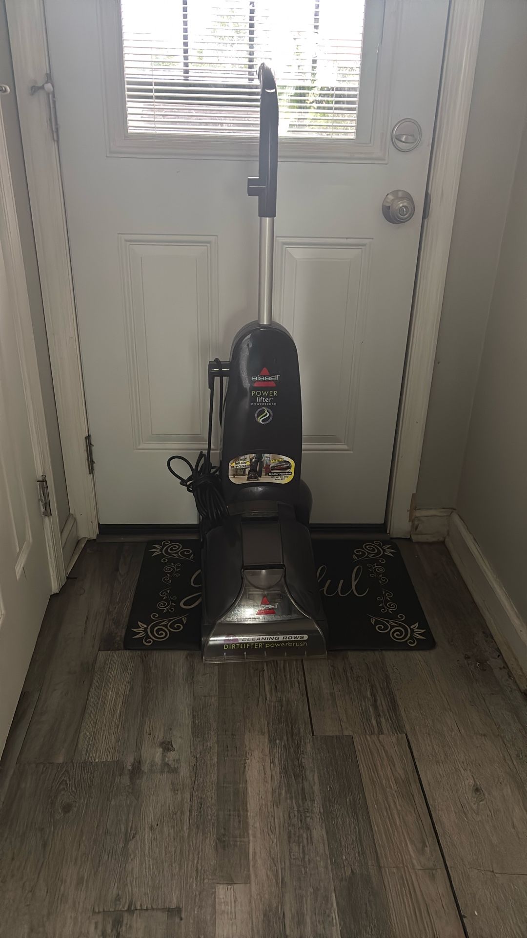 Bissell Steamer