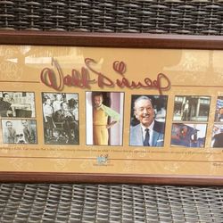  Walt Disney World photos framed print