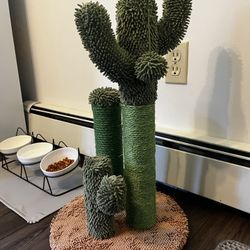 Cactus Scratch Post