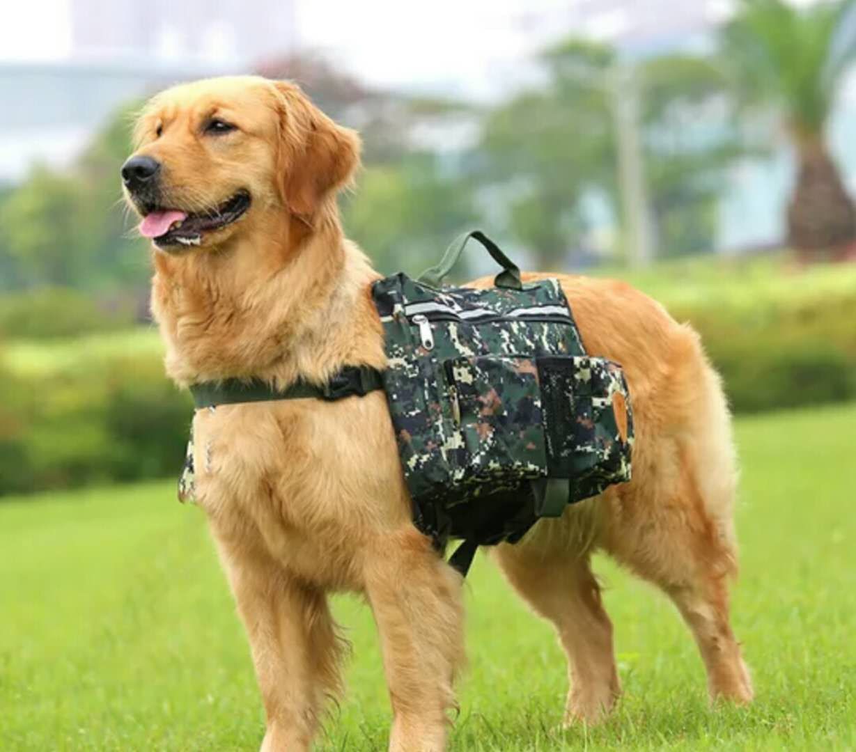 Pet bag pet supplies carrier for outdoor