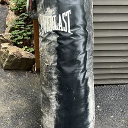 Everlast punching bag and gloves